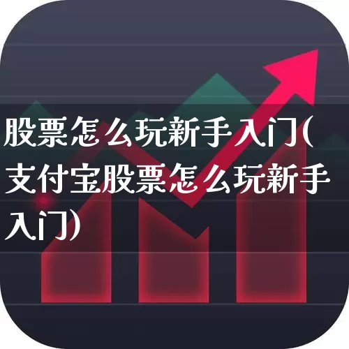 股票怎么玩新手入门(支付宝股票怎么玩新手入门)_https://www.fzdzcxj.com_北交所_第1张