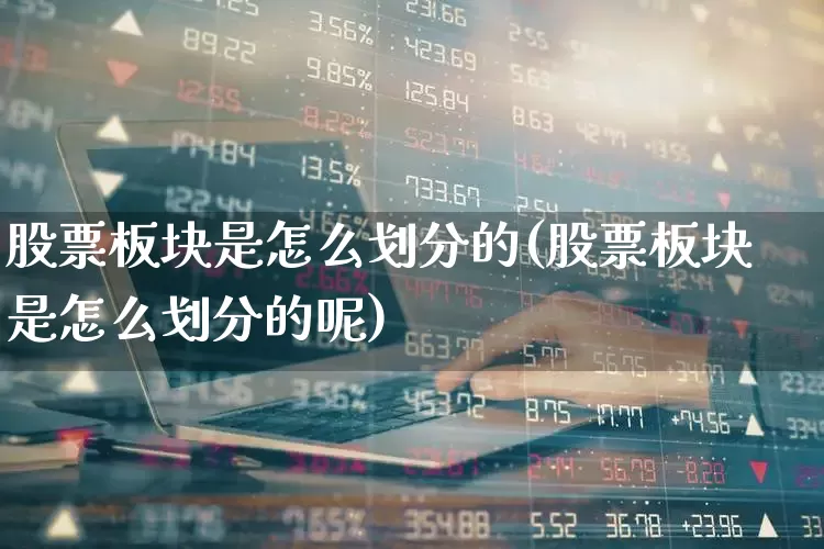 股票板块是怎么划分的(股票板块是怎么划分的呢)_https://www.fzdzcxj.com_上交所_第1张
