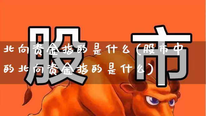 北向资金指的是什么(股市中的北向资金指的是什么)_https://www.fzdzcxj.com_北交所_第1张
