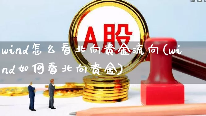 wind怎么看北向资金流向(wind如何看北向资金)_https://www.fzdzcxj.com_创业板_第1张