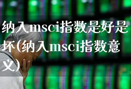纳入msci指数是好是坏(纳入msci指数意义)_https://www.fzdzcxj.com_上交所_第1张