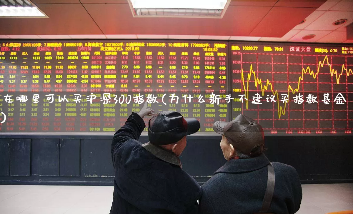 在哪里可以买沪深300指数(为什么新手不建议买指数基金)_https://www.fzdzcxj.com_深交所_第1张