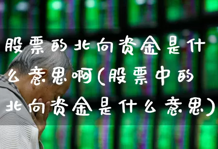 股票的北向资金是什么意思啊(股票中的北向资金是什么意思)_https://www.fzdzcxj.com_创业板_第1张
