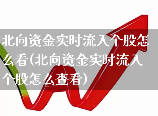 北向资金实时流入个股怎么看(北向资金实时流入个股怎么查看)_https://www.fzdzcxj.com_创业板_第1张