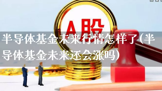 半导体基金未来行情怎样了(半导体基金未来还会涨吗)_https://www.fzdzcxj.com_北交所_第1张