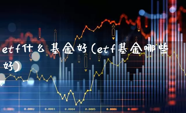 etf什么基金好(etf基金哪些好)_https://www.fzdzcxj.com_北交所_第1张