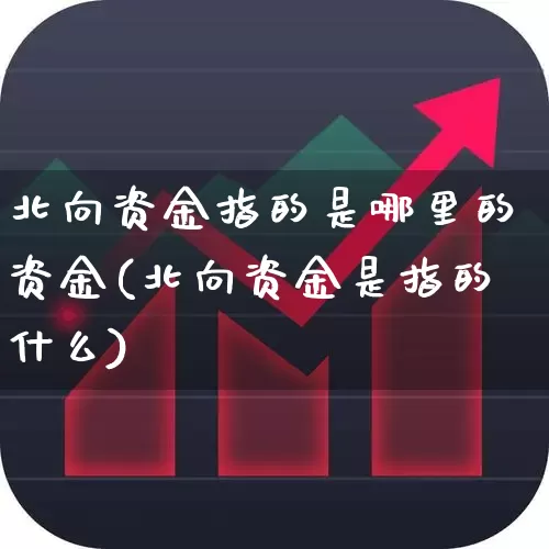 北向资金指的是哪里的资金(北向资金是指的什么)_https://www.fzdzcxj.com_上交所_第1张