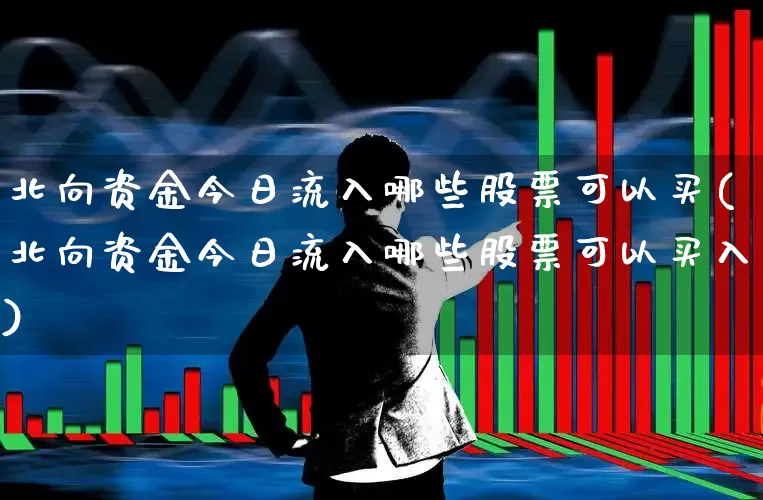 北向资金今日流入哪些股票可以买(北向资金今日流入哪些股票可以买入)_https://www.fzdzcxj.com_上交所_第1张