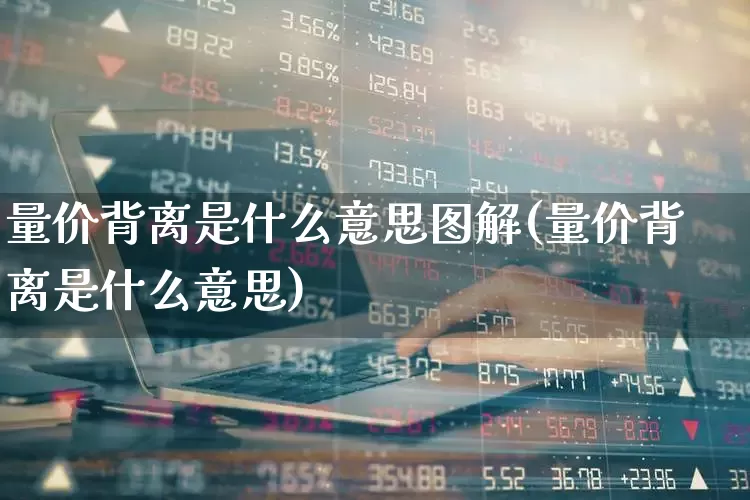 量价背离是什么意思图解(量价背离是什么意思)_https://www.fzdzcxj.com_北交所_第1张