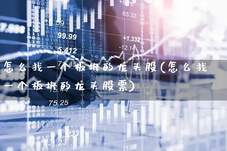 怎么找一个板块的龙头股(怎么找一个板块的龙头股票)_https://www.fzdzcxj.com_深交所_第1张