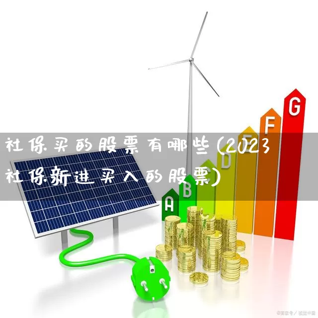 社保买的股票有哪些(2023社保新进买入的股票)_https://www.fzdzcxj.com_创业板_第1张