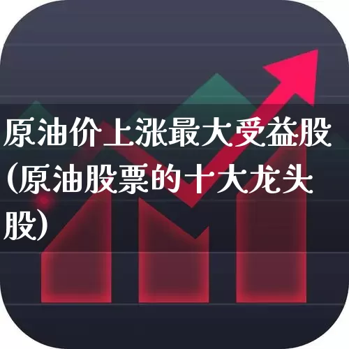 原油价上涨最大受益股(原油股票的十大龙头股)_https://www.fzdzcxj.com_上交所_第1张