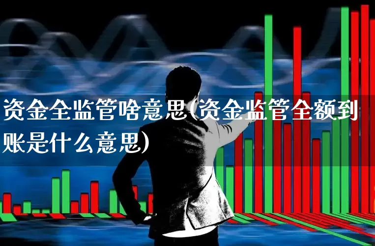 资金全监管啥意思(资金监管全额到账是什么意思)_https://www.fzdzcxj.com_创业板_第1张