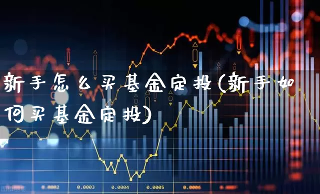 新手怎么买基金定投(新手如何买基金定投)_https://www.fzdzcxj.com_上交所_第1张