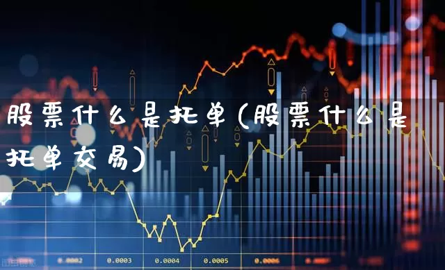 股票什么是托单(股票什么是托单交易)_https://www.fzdzcxj.com_北交所_第1张
