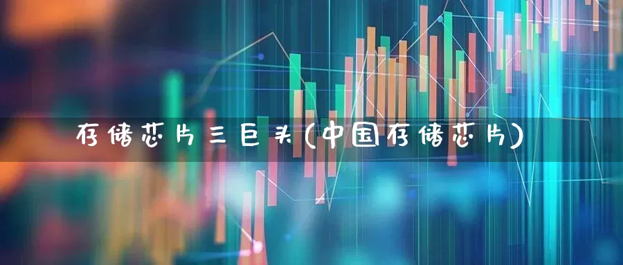 存储芯片三巨头(中国存储芯片)_https://www.fzdzcxj.com_深交所_第1张