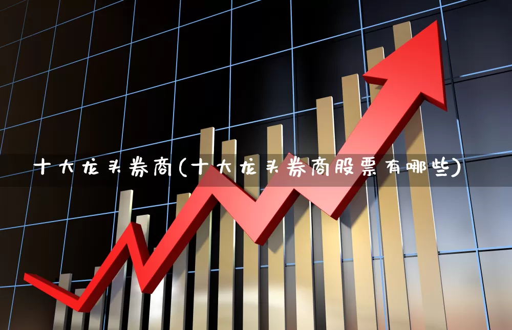 十大龙头券商(十大龙头券商股票有哪些)_https://www.fzdzcxj.com_深交所_第1张