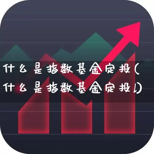 什么是指数基金定投(什么是指数基金定投l)_https://www.fzdzcxj.com_上交所_第1张