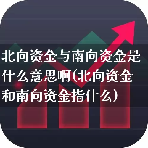 北向资金与南向资金是什么意思啊(北向资金和南向资金指什么)_https://www.fzdzcxj.com_深交所_第1张