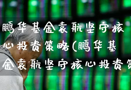 鹏华基金袁航坚守核心投资策略(鹏华基金袁航坚守核心投资策略是什么)_https://www.fzdzcxj.com_北交所_第1张