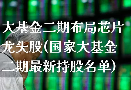 大基金二期布局芯片龙头股(国家大基金二期最新持股名单)_https://www.fzdzcxj.com_上交所_第1张