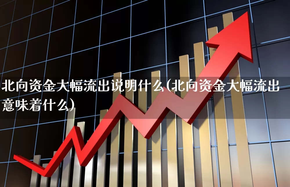 北向资金大幅流出说明什么(北向资金大幅流出意味着什么)_https://www.fzdzcxj.com_科创板_第1张