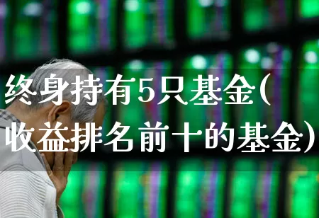 终身持有5只基金(收益排名前十的基金)_https://www.fzdzcxj.com_创业板_第1张