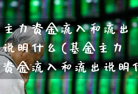 主力资金流入和流出说明什么(基金主力资金流入和流出说明什么)_https://www.fzdzcxj.com_科创板_第1张