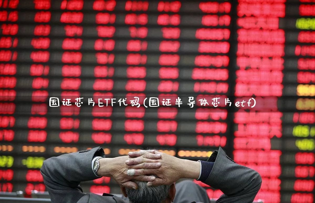 国证芯片ETF代码(国证半导体芯片etf)_https://www.fzdzcxj.com_科创板_第1张