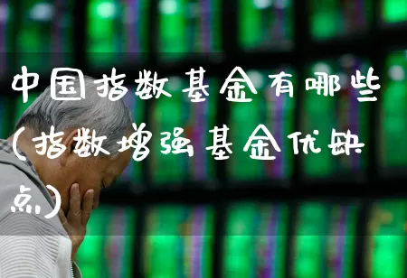 中国指数基金有哪些(指数增强基金优缺点)_https://www.fzdzcxj.com_上交所_第1张