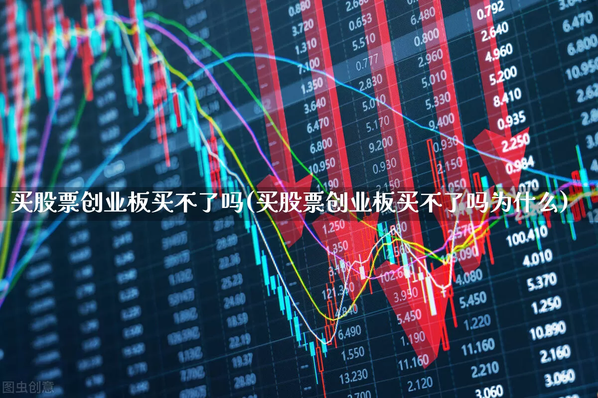 买股票创业板买不了吗(买股票创业板买不了吗为什么)_https://www.fzdzcxj.com_科创板_第1张