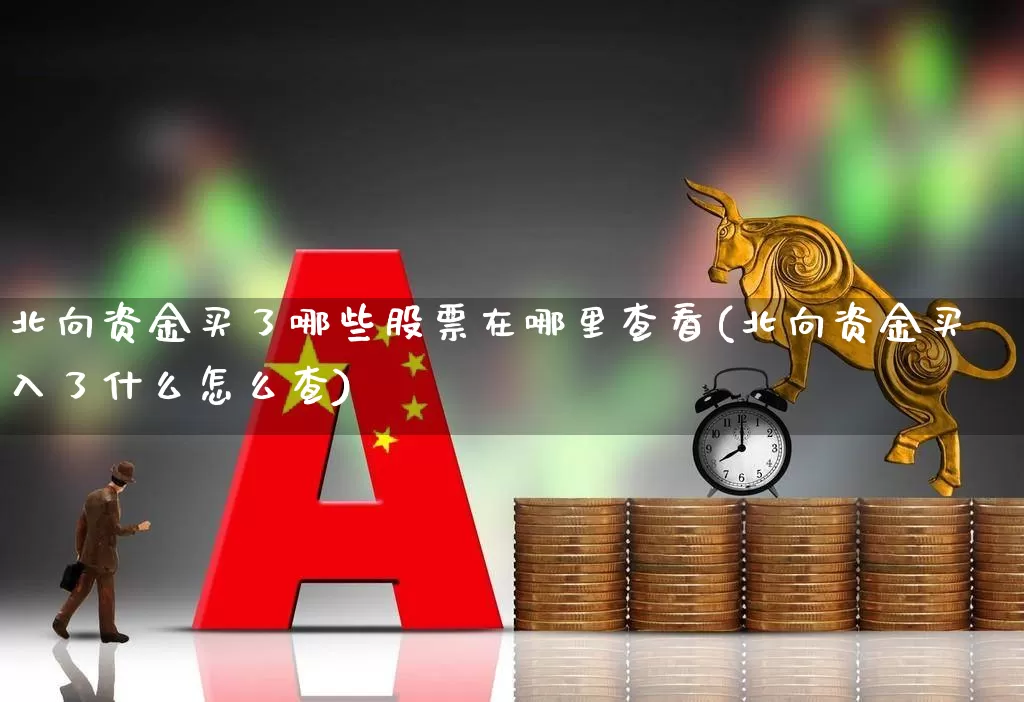 北向资金买了哪些股票在哪里查看(北向资金买入了什么怎么查)_https://www.fzdzcxj.com_上交所_第1张