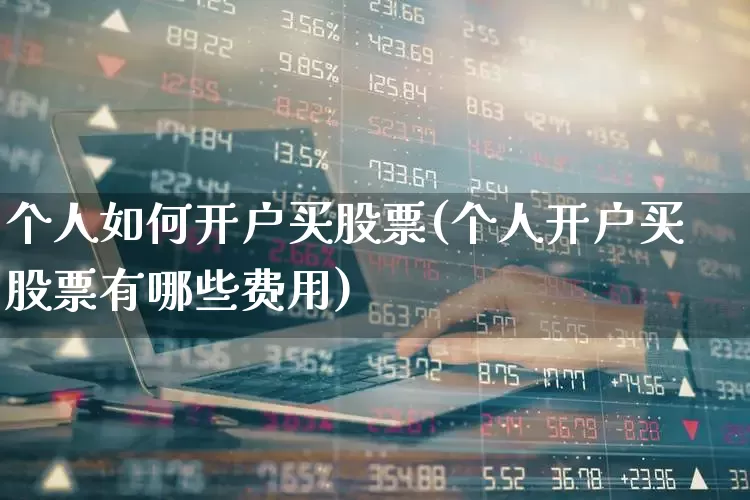 个人如何开户买股票(个人开户买股票有哪些费用)_https://www.fzdzcxj.com_上交所_第1张