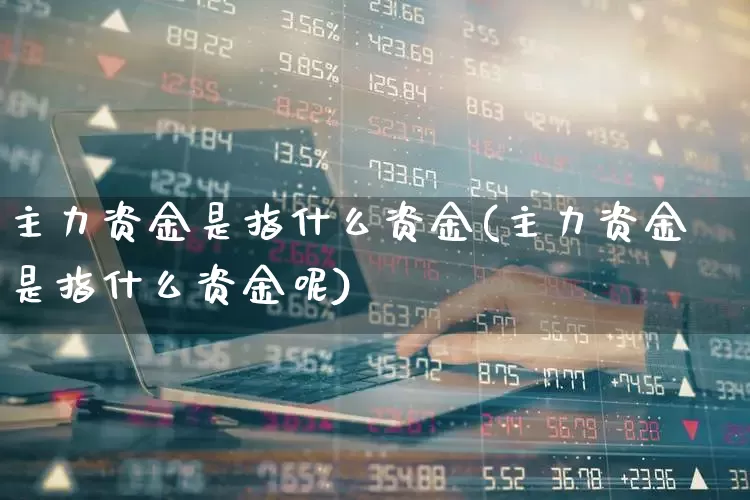 主力资金是指什么资金(主力资金是指什么资金呢)_https://www.fzdzcxj.com_深交所_第1张