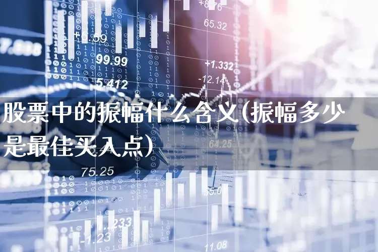 股票中的振幅什么含义(振幅多少是最佳买入点)_https://www.fzdzcxj.com_深交所_第1张