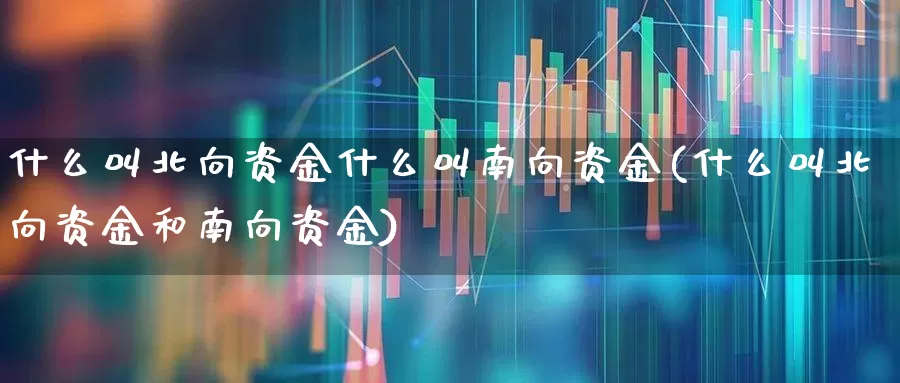 什么叫北向资金什么叫南向资金(什么叫北向资金和南向资金)_https://www.fzdzcxj.com_上交所_第1张