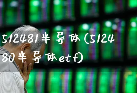 512481半导体(512480半导体etf)_https://www.fzdzcxj.com_科创板_第1张