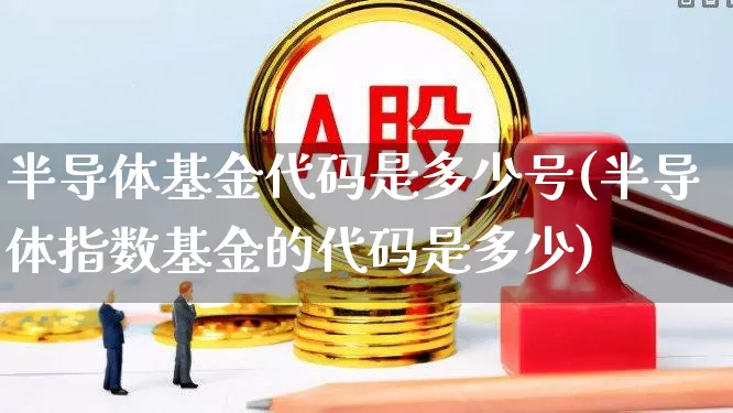 半导体基金代码是多少号(半导体指数基金的代码是多少)_https://www.fzdzcxj.com_创业板_第1张