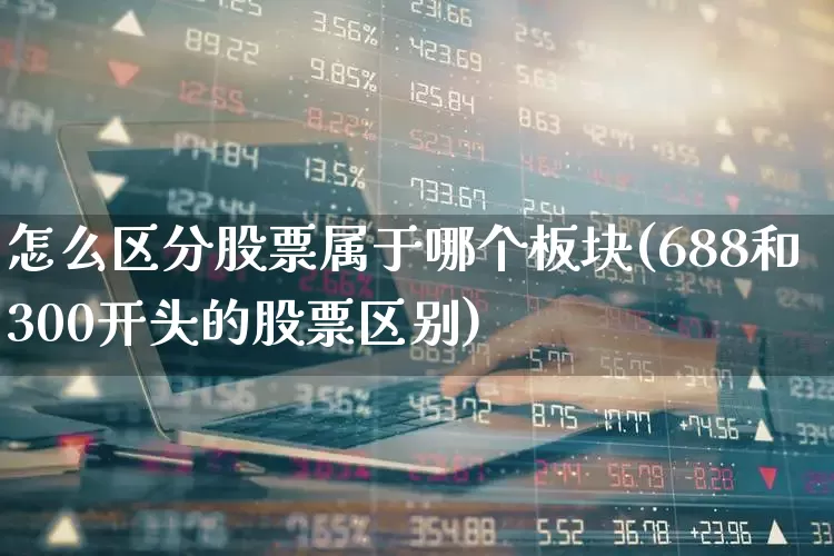 怎么区分股票属于哪个板块(688和300开头的股票区别)_https://www.fzdzcxj.com_科创板_第1张