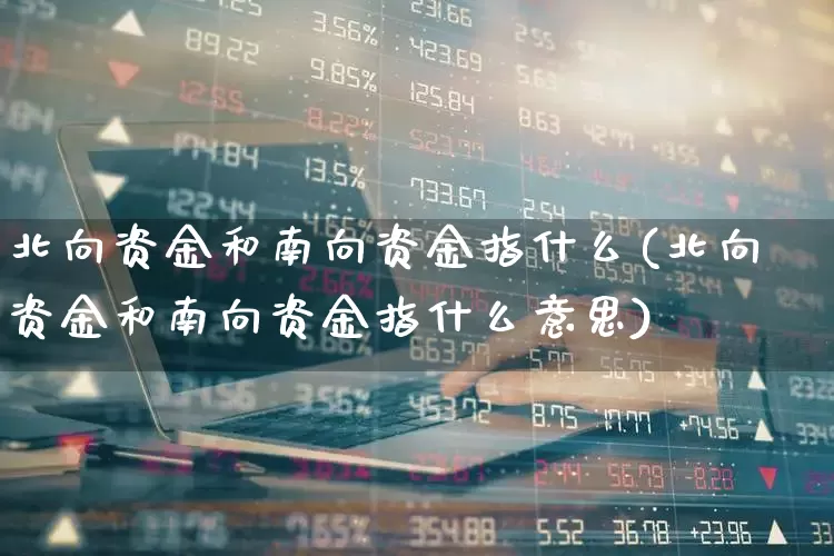 北向资金和南向资金指什么(北向资金和南向资金指什么意思)_https://www.fzdzcxj.com_科创板_第1张
