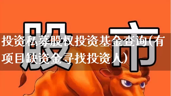 投资私募股权投资基金查询(有项目缺资金寻找投资人)_https://www.fzdzcxj.com_创业板_第1张