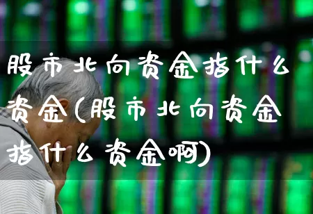 股市北向资金指什么资金(股市北向资金指什么资金啊)_https://www.fzdzcxj.com_深交所_第1张