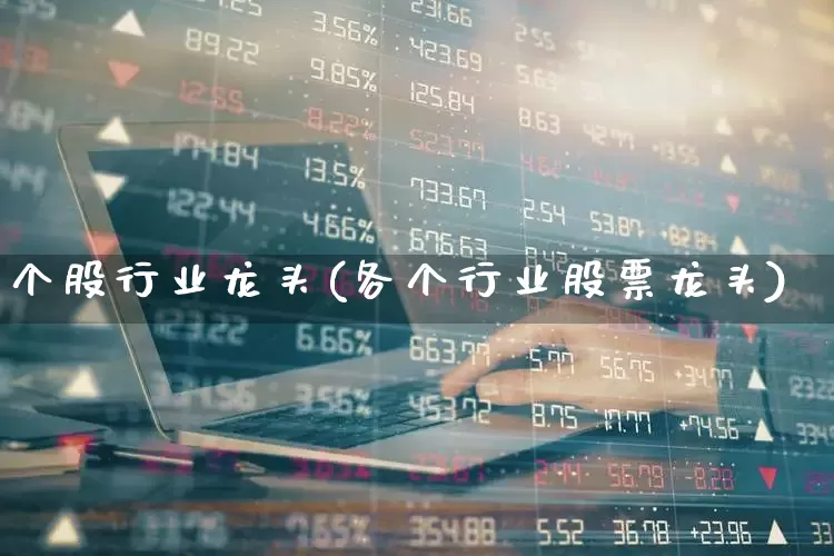 个股行业龙头(各个行业股票龙头)_https://www.fzdzcxj.com_科创板_第1张
