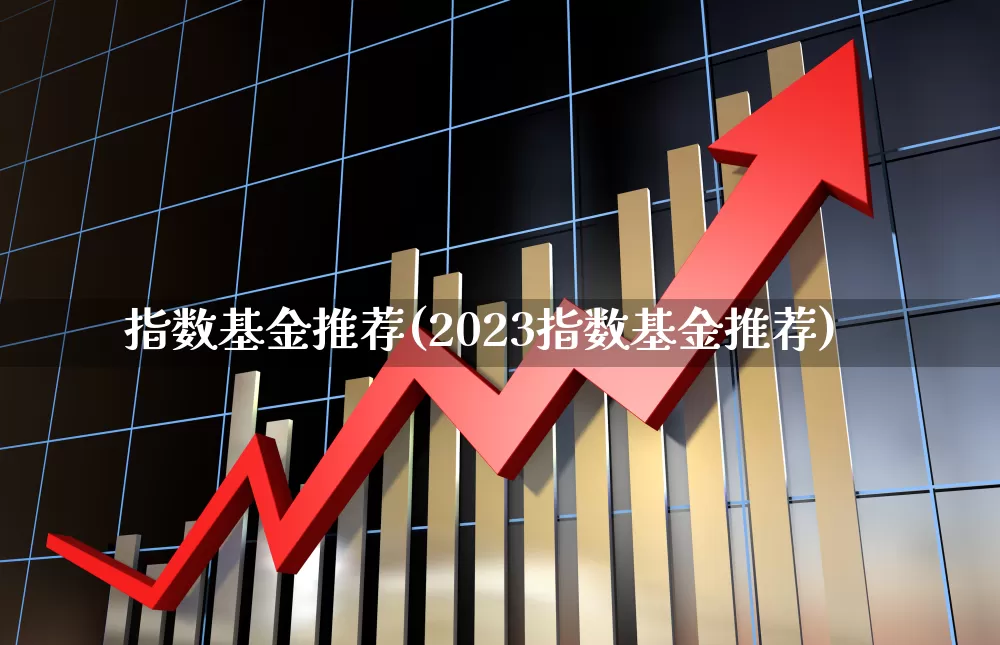 指数基金推荐(2023指数基金推荐)_https://www.fzdzcxj.com_上交所_第1张