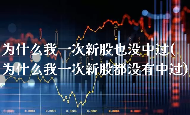 为什么我一次新股也没中过(为什么我一次新股都没有中过)_https://www.fzdzcxj.com_深交所_第1张