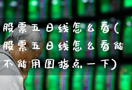 股票五日线怎么看(股票五日线怎么看能不能用图指点一下)_https://www.fzdzcxj.com_北交所_第1张