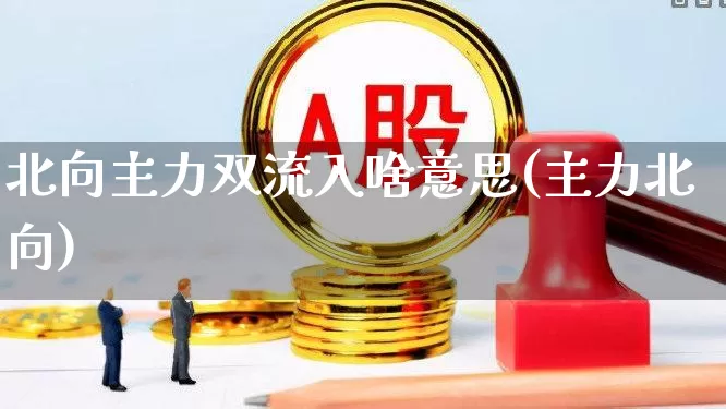 北向主力双流入啥意思(主力北向)_https://www.fzdzcxj.com_上交所_第1张