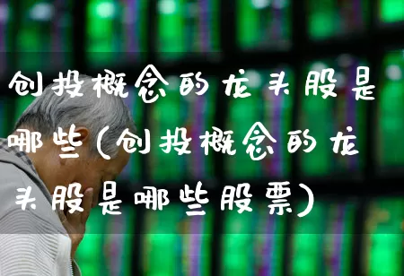 创投概念的龙头股是哪些(创投概念的龙头股是哪些股票)_https://www.fzdzcxj.com_创业板_第1张