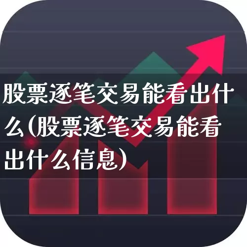 股票逐笔交易能看出什么(股票逐笔交易能看出什么信息)_https://www.fzdzcxj.com_创业板_第1张