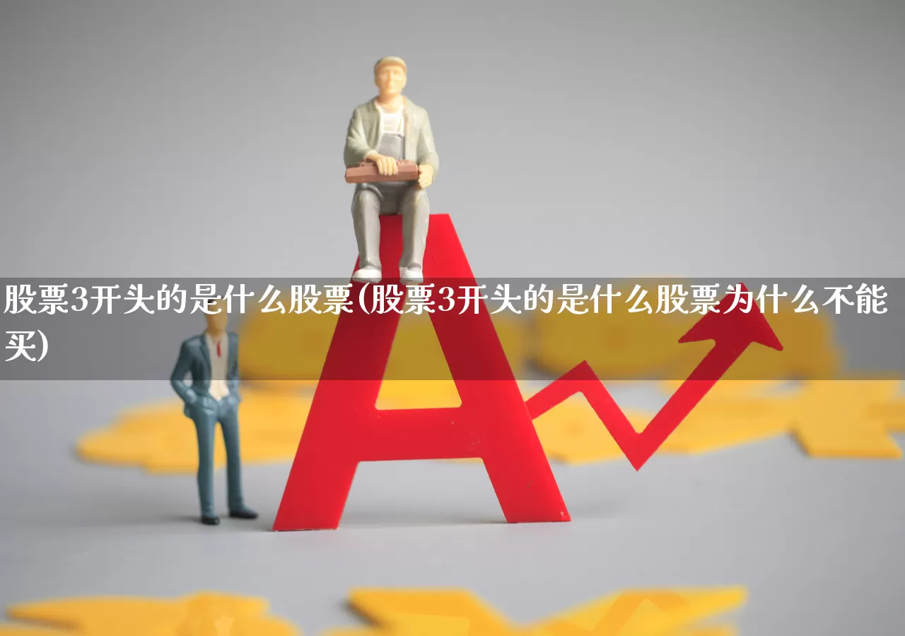 股票3开头的是什么股票(股票3开头的是什么股票为什么不能买)_https://www.fzdzcxj.com_北交所_第1张